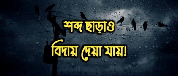 শব্দ ছাড়াও বিদায় দেয়া যায়!